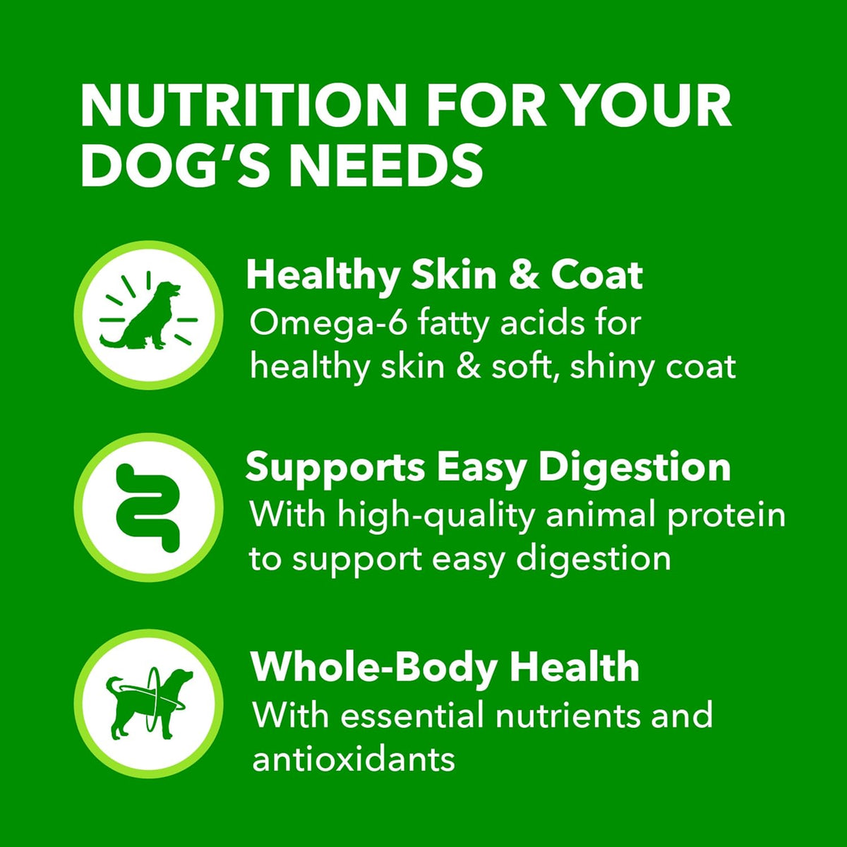 IAMS Proactive Health Senior Ground Wet Dog Food, Chicken, 13 oz, 12 Pack