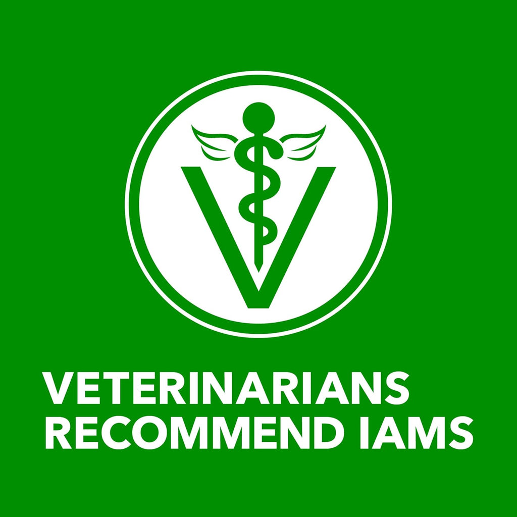 IAMS Proactive Health Senior Ground Wet Dog Food, Chicken, 13 oz, 12 Pack