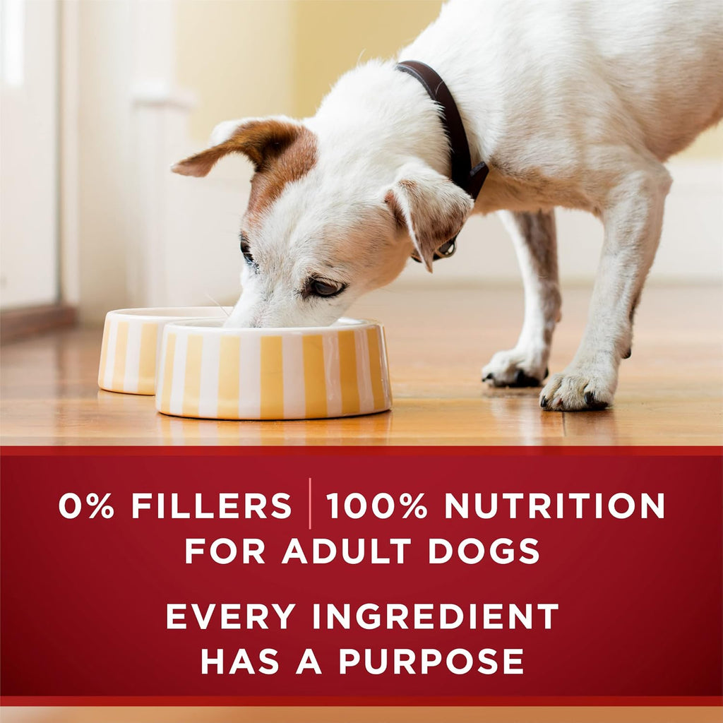 Purina ONE True Instinct Variety Wet Dog Food, Tender Cuts, (6) 13oz Cans